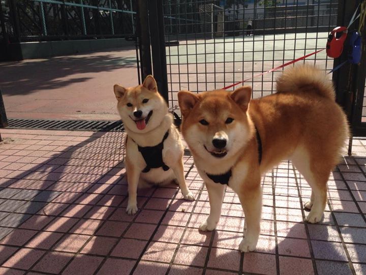 当76人变成76人，陶汉林如何在一场定义战中撕碎标签