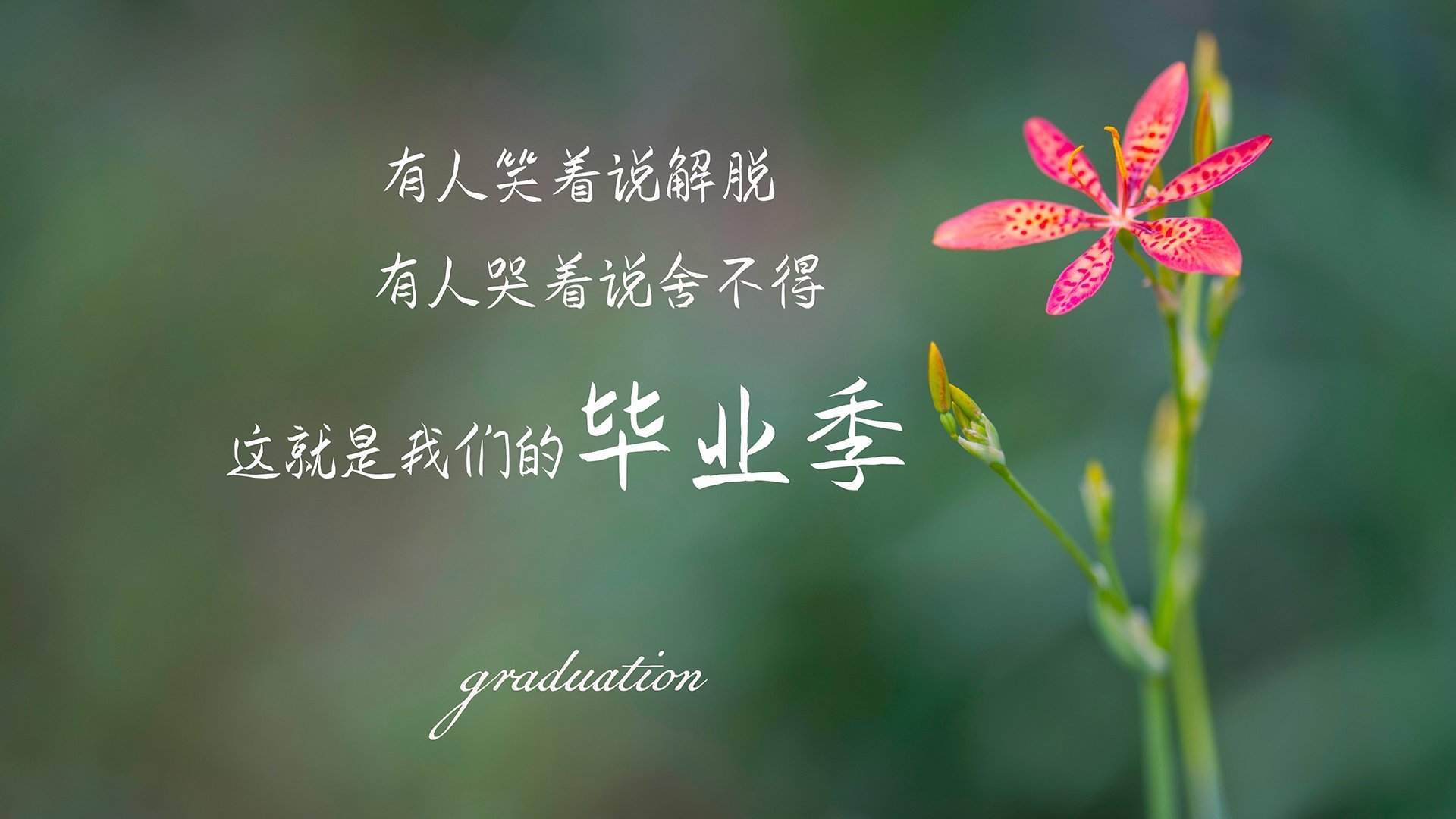 绿茵场上的地缘棋局，从楚阿梅尼的统治力看美国横扫日本的体育隐喻