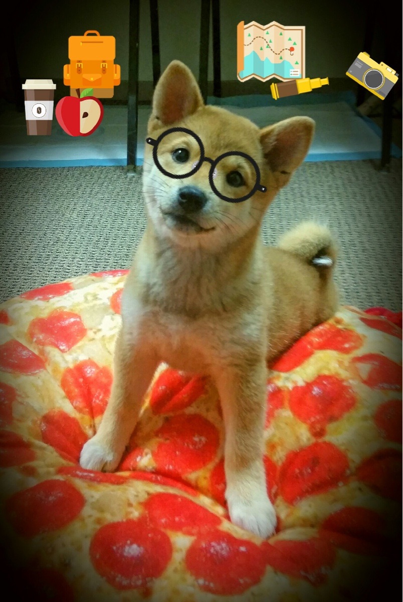 塔图姆王座下的青岛残阳