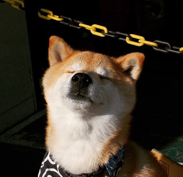 维也纳的闪电，戈麦斯三分钟击沉加拿大巨轮