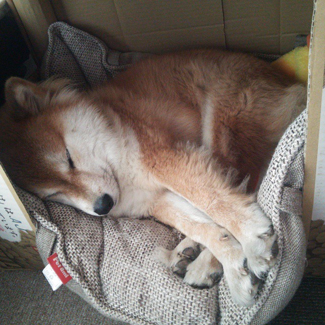 伊布战术支点引爆南美风暴，厄瓜多尔三线联动稳稳拿下北欧神话