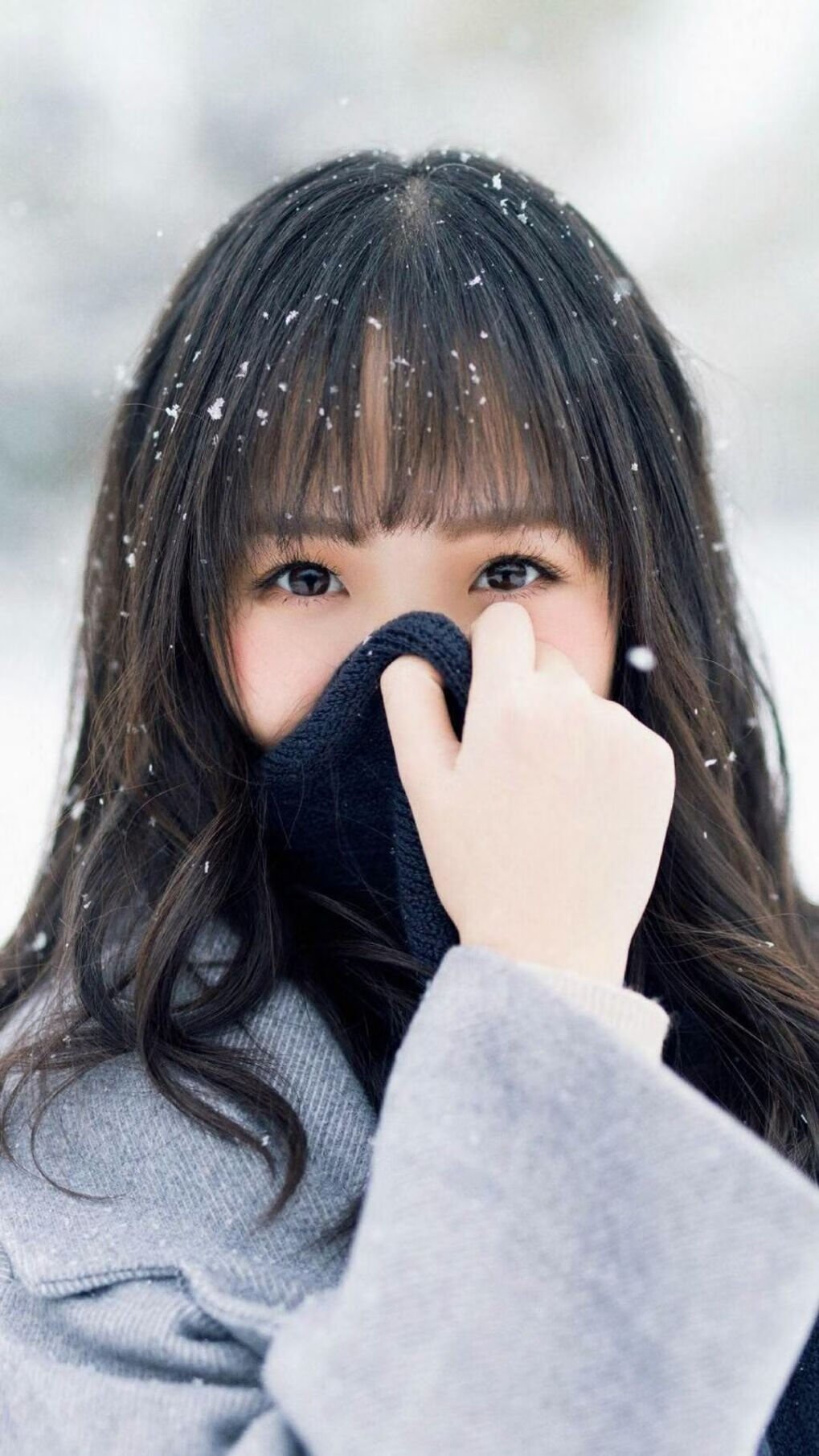 当红白旗遇上枫叶,41岁伊布空降蒙特利尔,独造三球撕裂世界冠军防线