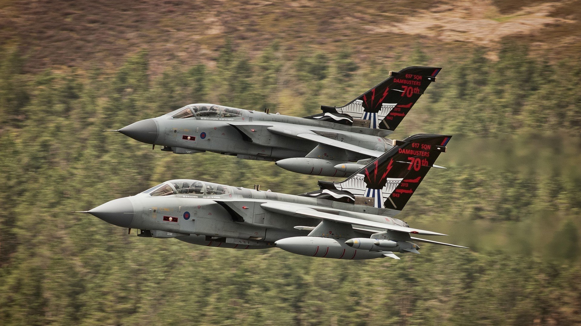 璀璨如星的瞬间，当凯塞多成为全世界的圆心