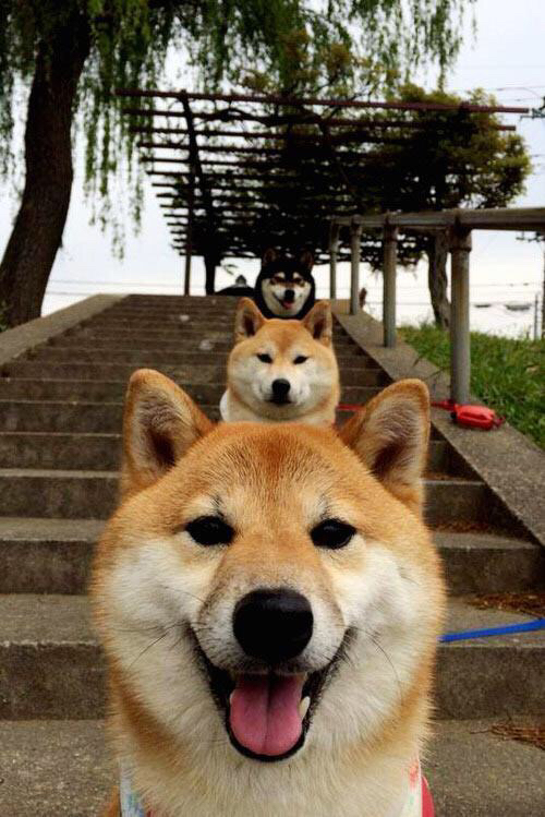 亚洲铁闸金玟哉带队取胜，德甲风暴勒沃库森强势拿下喀麦隆