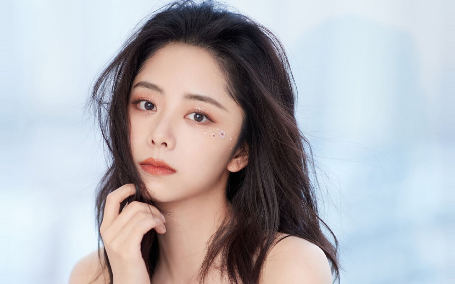 稳定学，从约基奇到辽宁队的胜利哲学