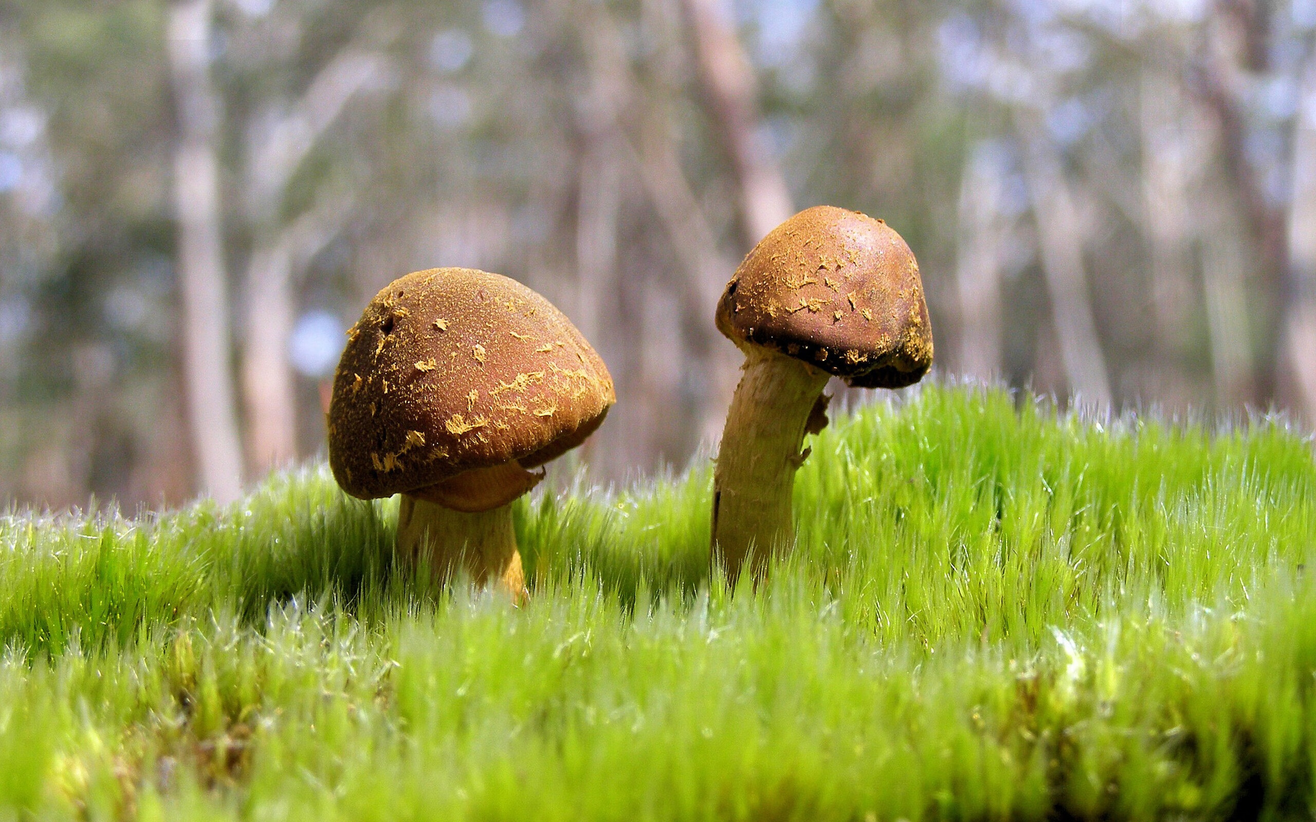 魔王与军队,爱德华兹的无解之夜与爵士的集体压制