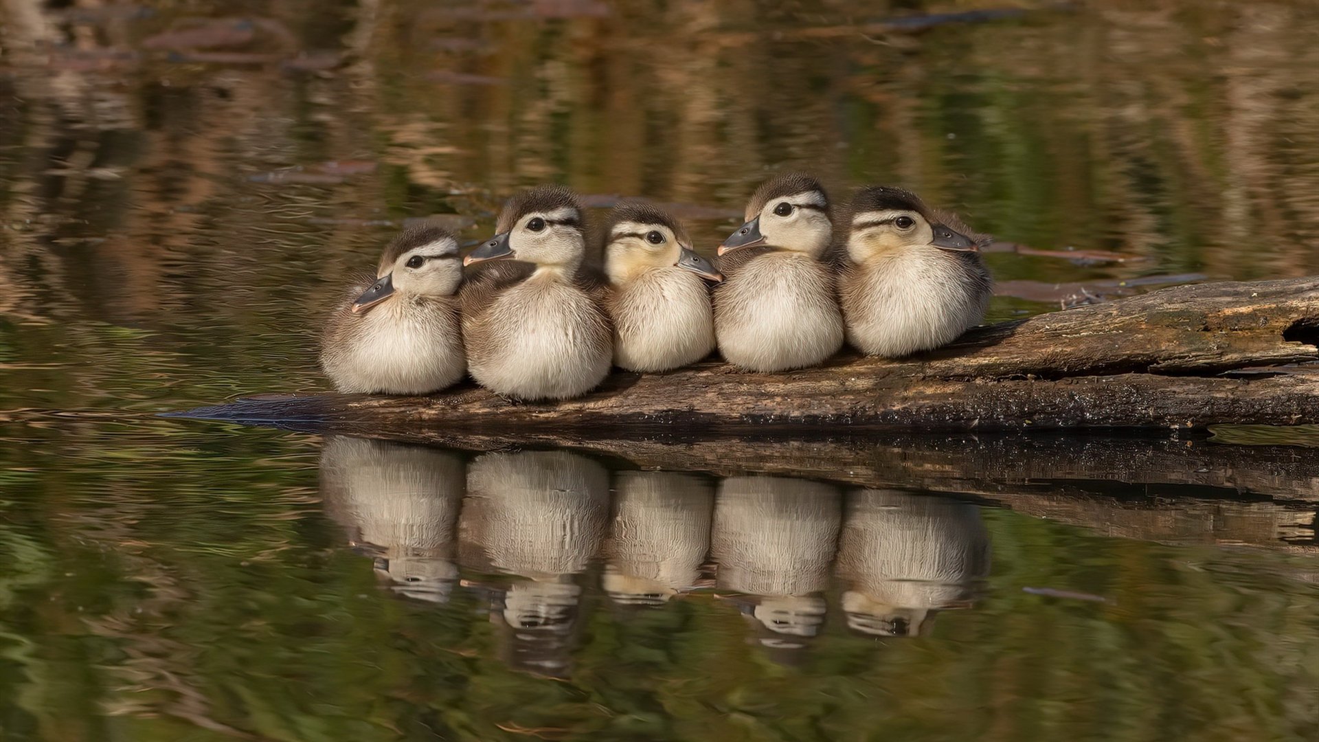 唯一性,足球史上不可复制的两个瞬间