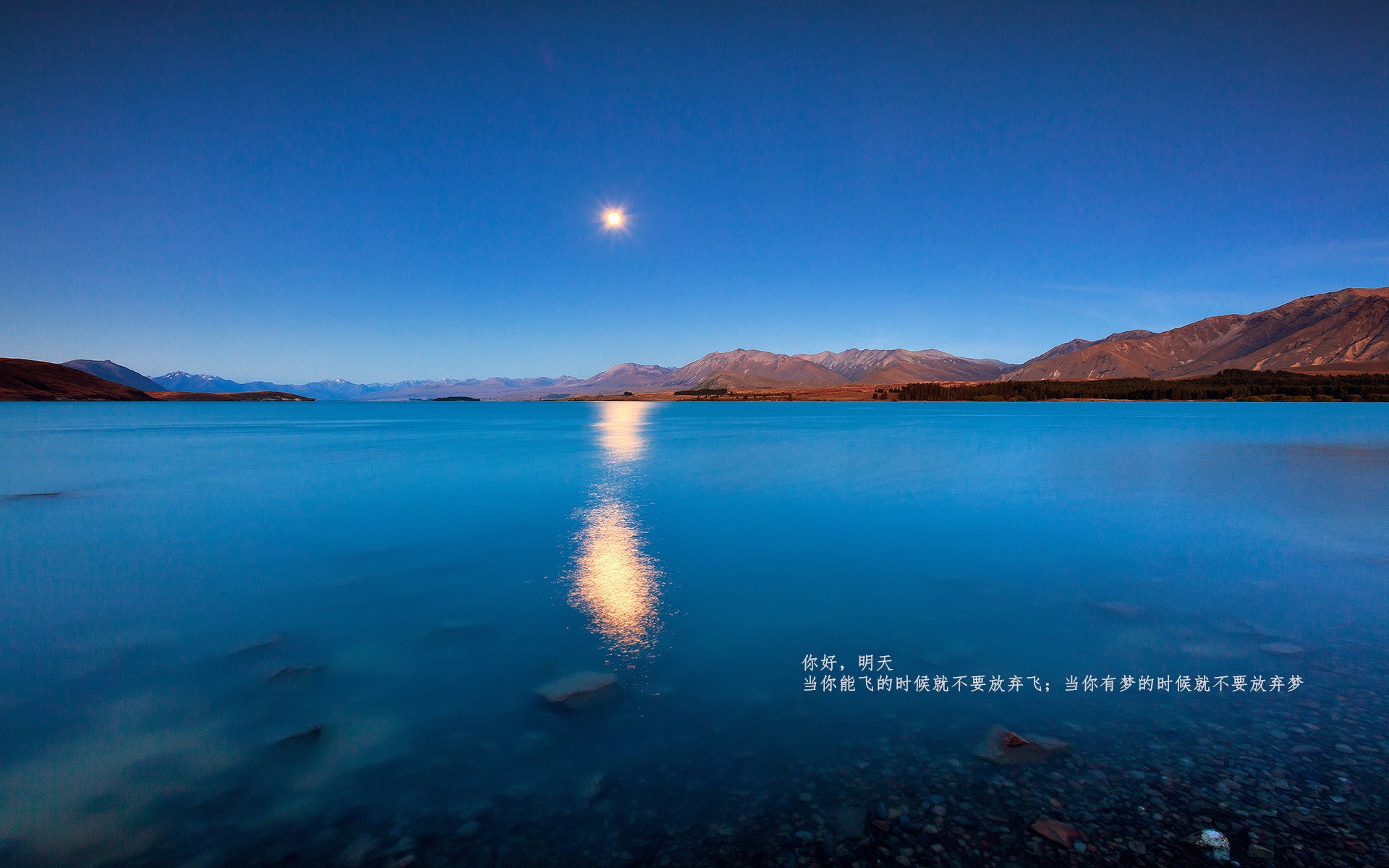 天光乍破,加克波的子弹如何击碎长夜与质疑