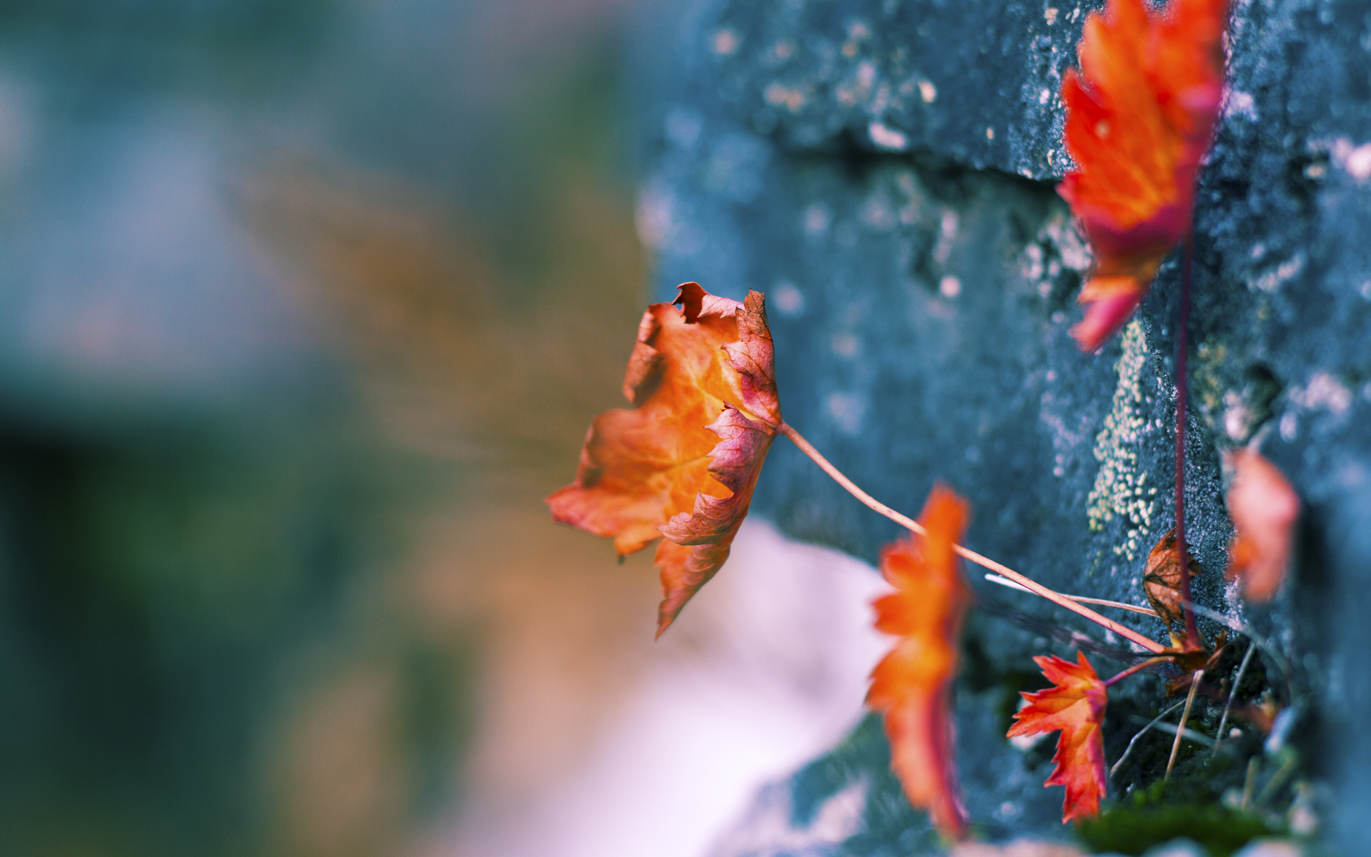 西甲病榻上的收割，如何在意甲焦点战酿成风暴，马里之伤与努涅斯的唯一性接管