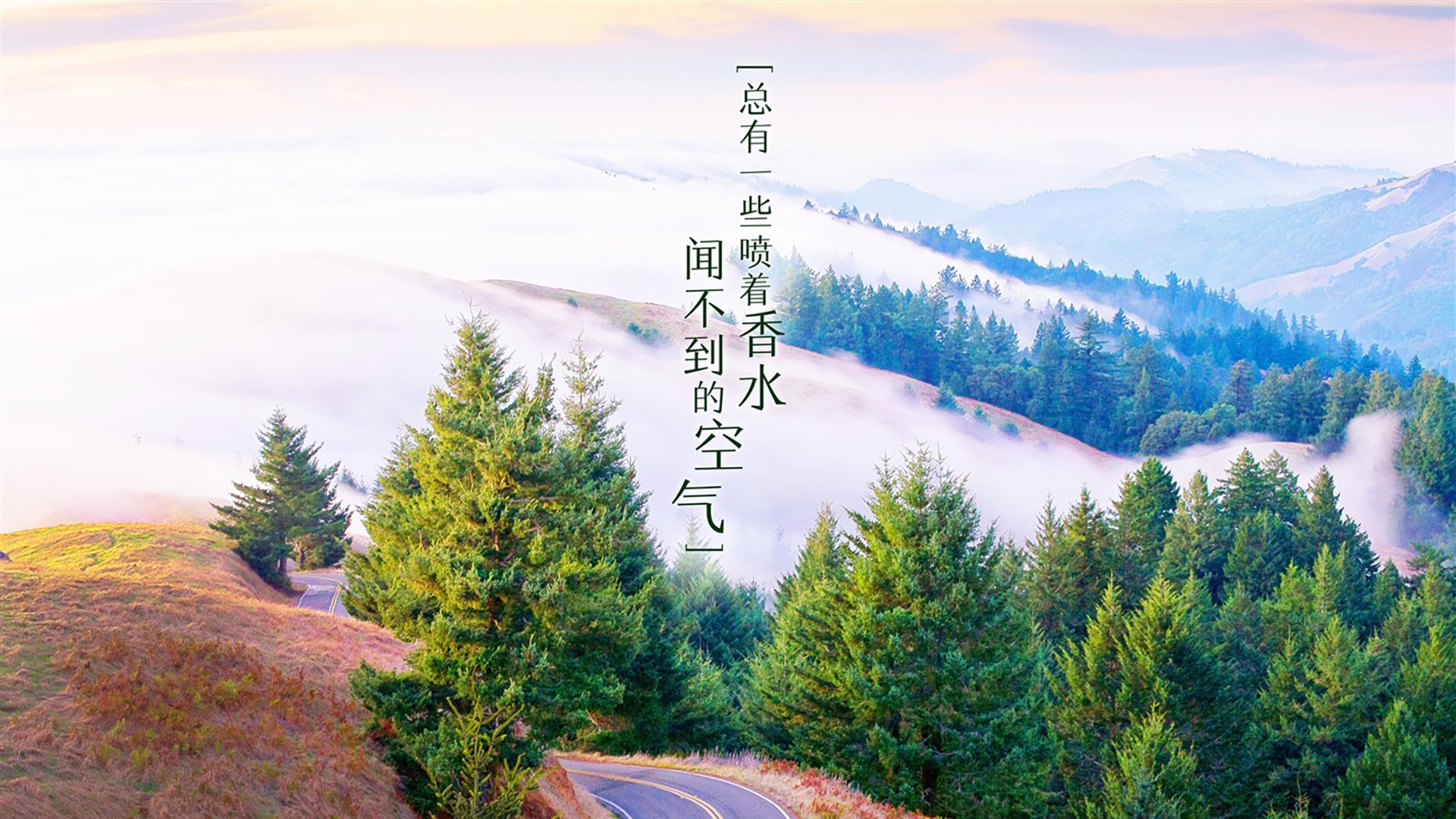 2026世界杯B组，伊朗铁骑横扫喀麦隆，姆巴佩独舞难救主