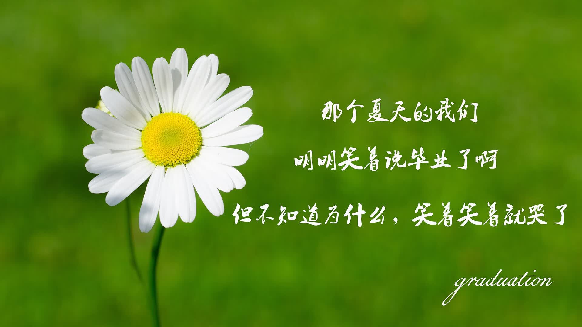 宿命的回响，当高原之鹰掠过非洲雄狮，2026世界杯B组的唯一性瞬间